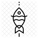 Fish  Icon