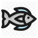 Fish  Icon