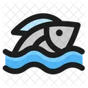 Fish  Icon