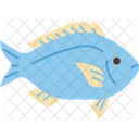 Fish Aquatic Seafood Icon