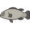 Fish  Icon