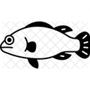 Fish  Icon