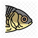 Fish Food Seafood Icon