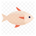 Fish  Icon