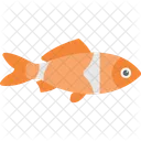 Largemouth Bass Rainbow Icon