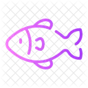 Fish Food Animal Icon