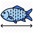 Fish  Icon