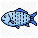 Fish  Icon