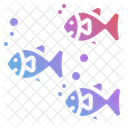 Fish  Icon