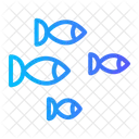 Fish  Icon
