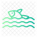 Fish  Icon