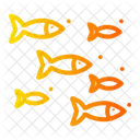 Fish  Icon