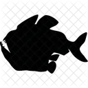 Fish  Icon