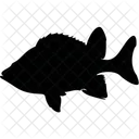 Fish  Icon