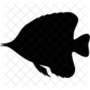 Fish  Icon