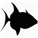 Fish  Icon