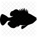 Fish  Icon