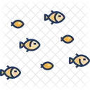 Fish school  Icon