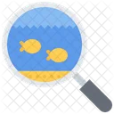 Fish Searching  Icon
