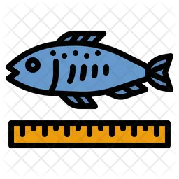 Fish Size  Icon