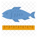 Fish Size Fish Size Icon