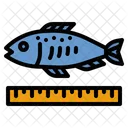 Fish Size  Icon