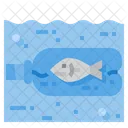 Fish Stuck In Bottle  Icon
