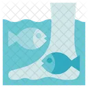 Fish Treatment Icon