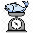 Fish weighting  Icon