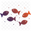 Fishes Multiple Fish Group Fish Icon