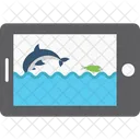 Android Wallpaper Aquarium Wallpaper Fish Tank Wallpaper Icon