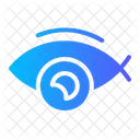 Fisheye  Icon