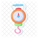 Fishing Scale  Icon