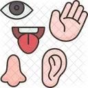 Five Senses Sensory Icon