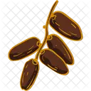 Five Dates And Their Stems Dates Date Icon