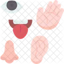 Five  Icon