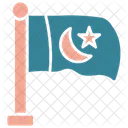 Flag Country Pakistani Icon
