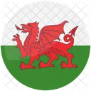 Flag-  Icon