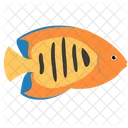Flame Angelfish Sea Creature Animal Icon