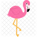 Flamenco  Icono