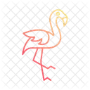 Flamenco Pajaro Animal Icon