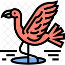 Flamenco Fauna Animal Icon