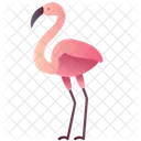 Flamenco  Icono