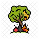 Flaming Tree Wildfire Icon