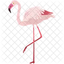 Flamingo Wildlife Bird Icon