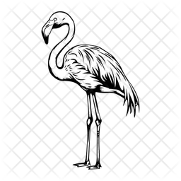 Flamingo  Symbol