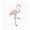 Flamingo Animal Wildlife Icon