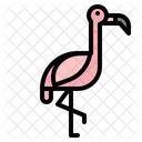 Flamingo Bird Animal Icon