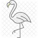 Flamingo Passaro Rosa Ícone