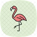 Flamingo Passaro Rosa Ícone